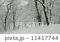 Man hiking on snowshoes in winter forest during a blizzard. Horizontal frame - HD1080P Canon 5DmkII Man hiking on snowshoes in winter forest during a blizzard. Horizontal frame - HD1080P Canon 5DmkII 11417744