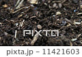ヤスデ 11421603