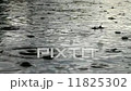 Heavy rain hitting the water surface 11825302
