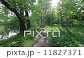 Park path 11827371