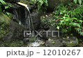 日本名水百選 杜々の森湧水 (新潟県) 12010267