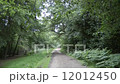 Pathway on Oak Walk, Epping Forest, England in spring 12012450