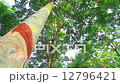 Tapping latex from a rubber tree in Thailand  12796421