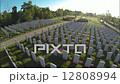 Aerial of Military Cemetery 12808994