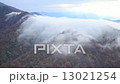 Unsai 13021254