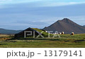 Sheep grazing in a pasture in Austurland 13179141