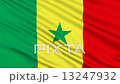 Senegalese flag, with real structure of a fabric 13247932