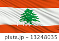 Lebanese Flag, with real structure of a fabric 13248035