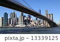 布魯克林大橋 13339125