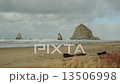 People Walking along Beach - Haystack Rock, Cannon Beach 13506998