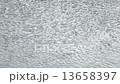 川の水面 13658397
