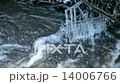 Fast water run in the spring stream, icicles are hanging on branches    14006766