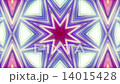 Kaleidoscope purple  14015428