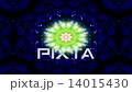 Kaleidoscope  14015430
