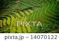 Zoom Out - Scenic Rice Farm Terraces - Northern Mountains of Sapa Vietnam 14070122