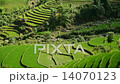 Time Lapse Pan - Rice Terraces in Green Valley Mountains of Sapa Vietnam  14070123