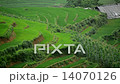 Zoom Out - Scenic Rice Farm Terraces - Northern Mountains of Sapa Vietnam 14070126