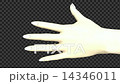 手と指輪とハート 14346011