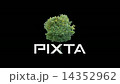 Real tree isolated on the wind 2 14352962