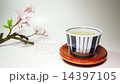 Cherry-blossom viewing  14397105