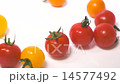 Colorful mini tomatoes 14577492