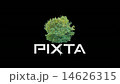 Real tree isolated on the wind 4 14626315