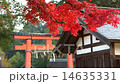 京都・上賀茂神社の紅葉と鳥居（前景から背景へピント送り） 14635331