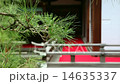京都・下鴨神社の松と建物（前景から背景へピント送り） 14635337