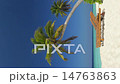vertical dolly beach with palmtree 14763863