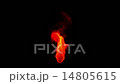 Flame of Fire 14805615