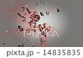 Numbers 0014H 14835835