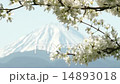 すももの花と富士山 すももの花と富士山 14893018
