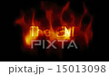 the end the end 15013098
