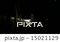 復古的街燈反映在水坑里（慢動作） 15021129