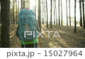 Hiker woman walking hiking in forest with backpack 15027964
