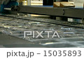 Cheese food industry packaging Assembly Line, Clos 15035893
