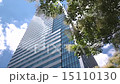 Fresh green season skyscraper 15110130