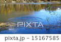 Stone falls into the lake, are circles  15167585