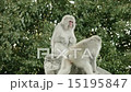 Japanese macaques 15195847