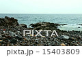Wild stone and rock shore or coast of ocean or sea 15403809