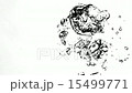 Bubbles Moving Upwards in Slow Motion. 15499771