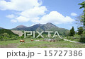 阿蘇山と赤牛01 15727386