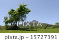 阿蘇山 15727391