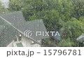 Rain drops on glass window 15796781