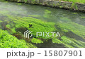 Shinshu Azumino spring spring 15807901
