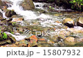 Fresh green stream 15807932