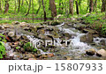 Fresh green stream 15807933