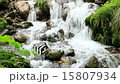 Fresh green stream 15807934