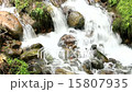 Fresh green stream 15807935