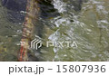 Mountain stream 15807936